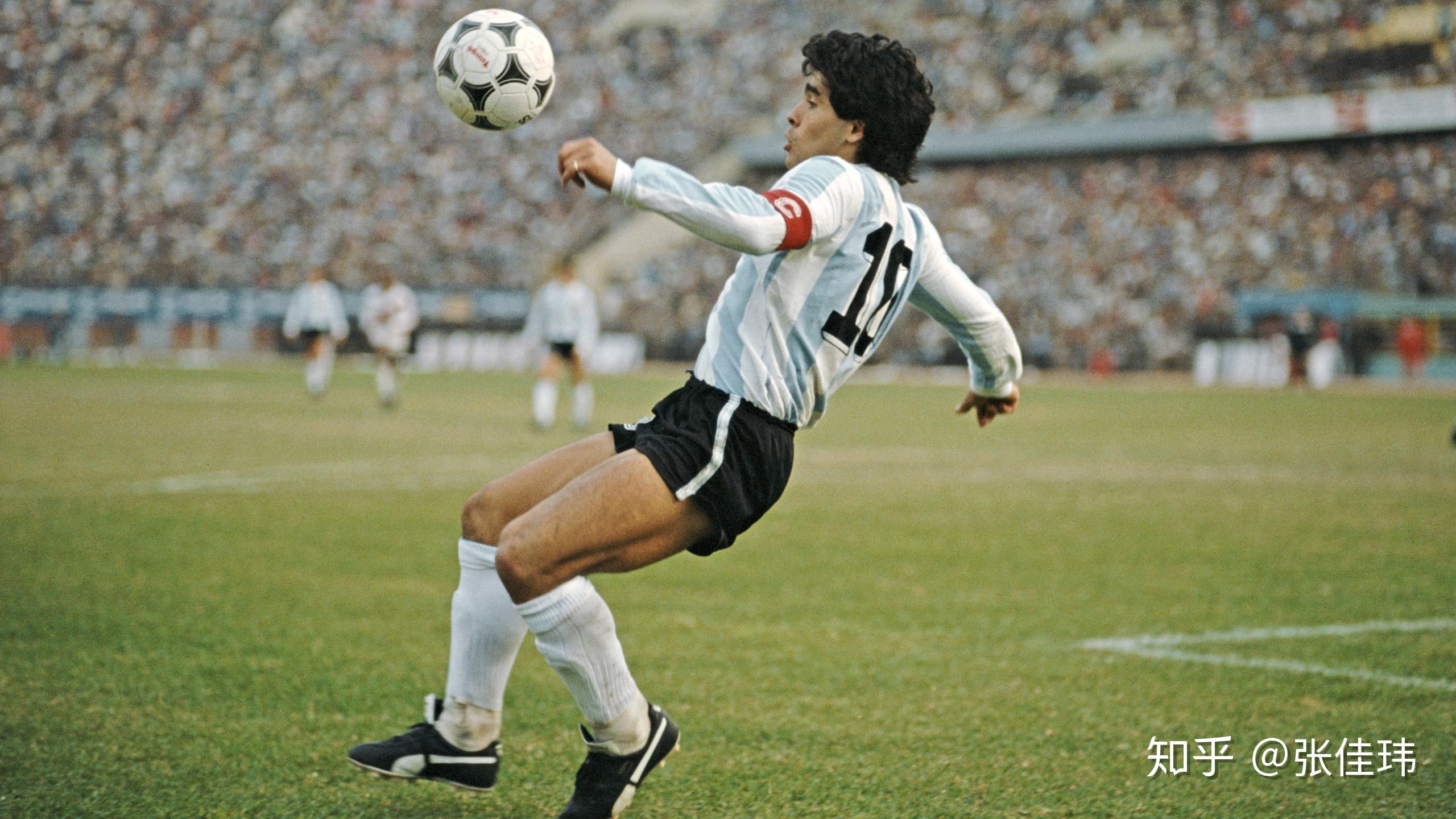ray雷竞技 快速发展